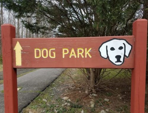 Best Dog Parks in Arkansas (Near Me)