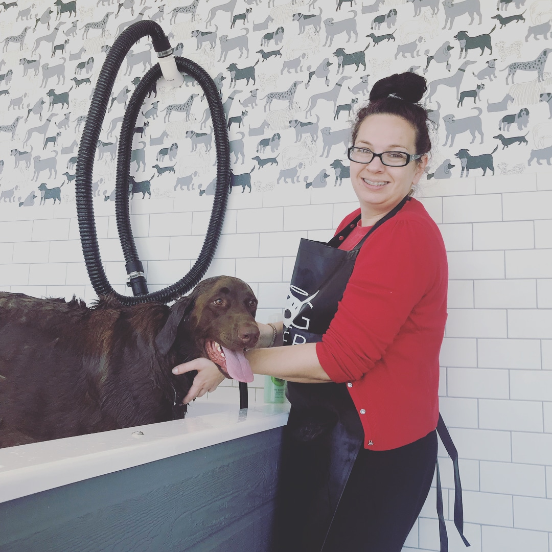 Dog owner giving their pup a DIY dog wash