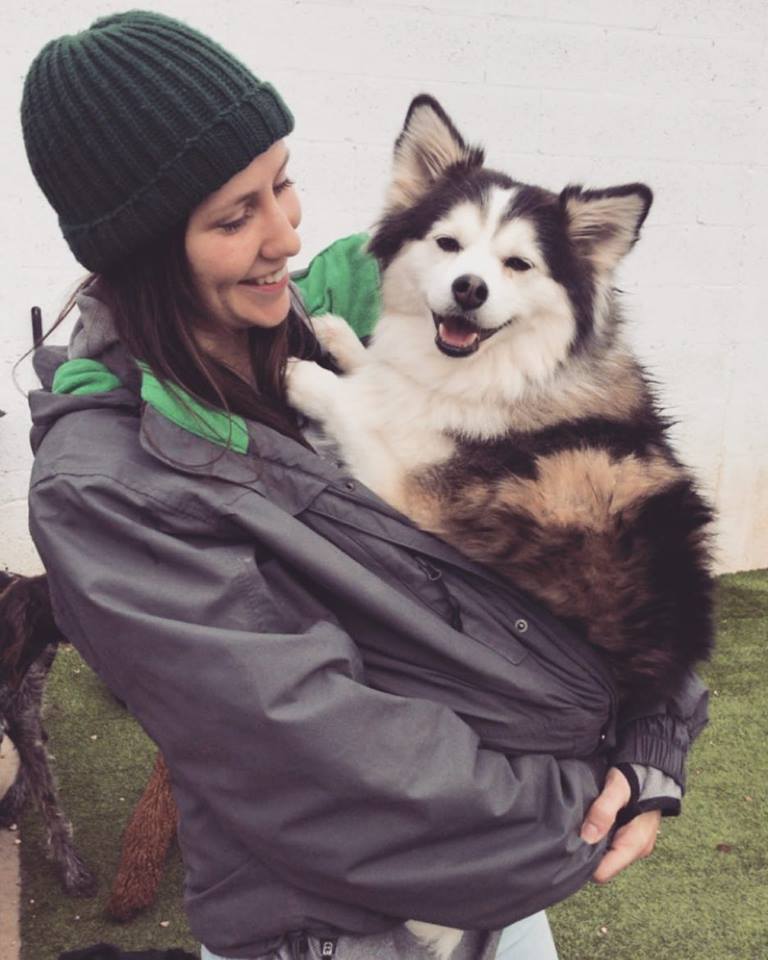 Hounds lounge worker loves on cute puppy in Little Rock Hounds Lounge worker loving on cute pup