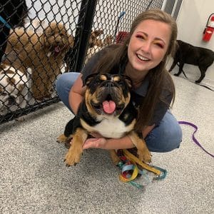 Bulldog getting hugs at West Little Rock Hounds Lounge