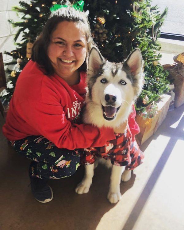 Husky with owner during the winter staying warm in front for Christmas tree