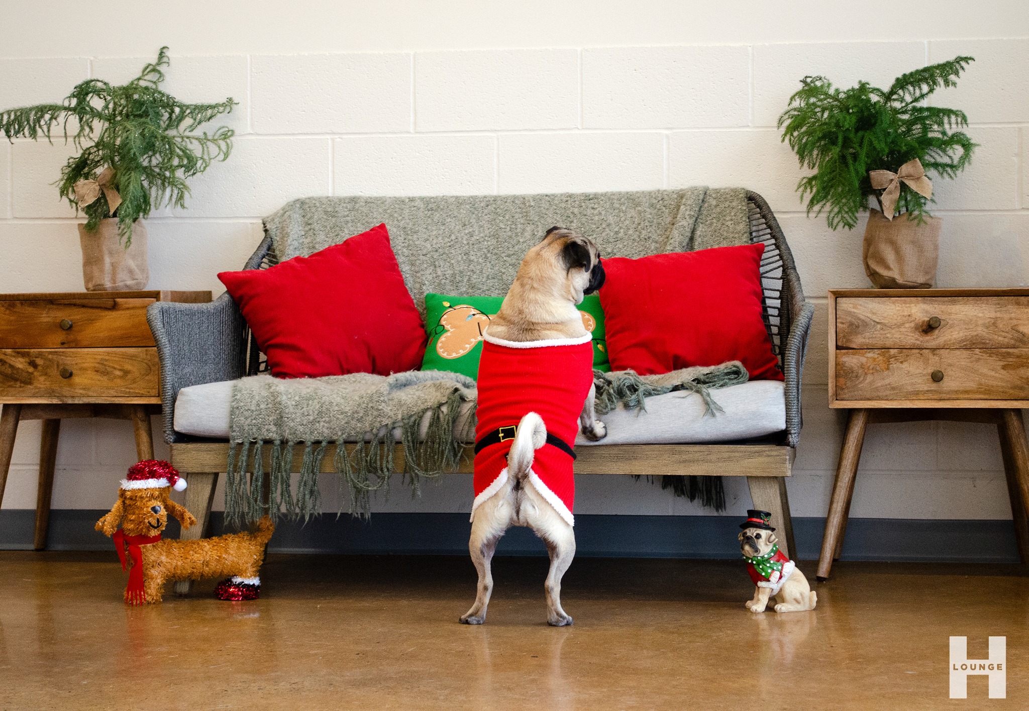 Pug in ugly christmas sweater staying warm during the winter