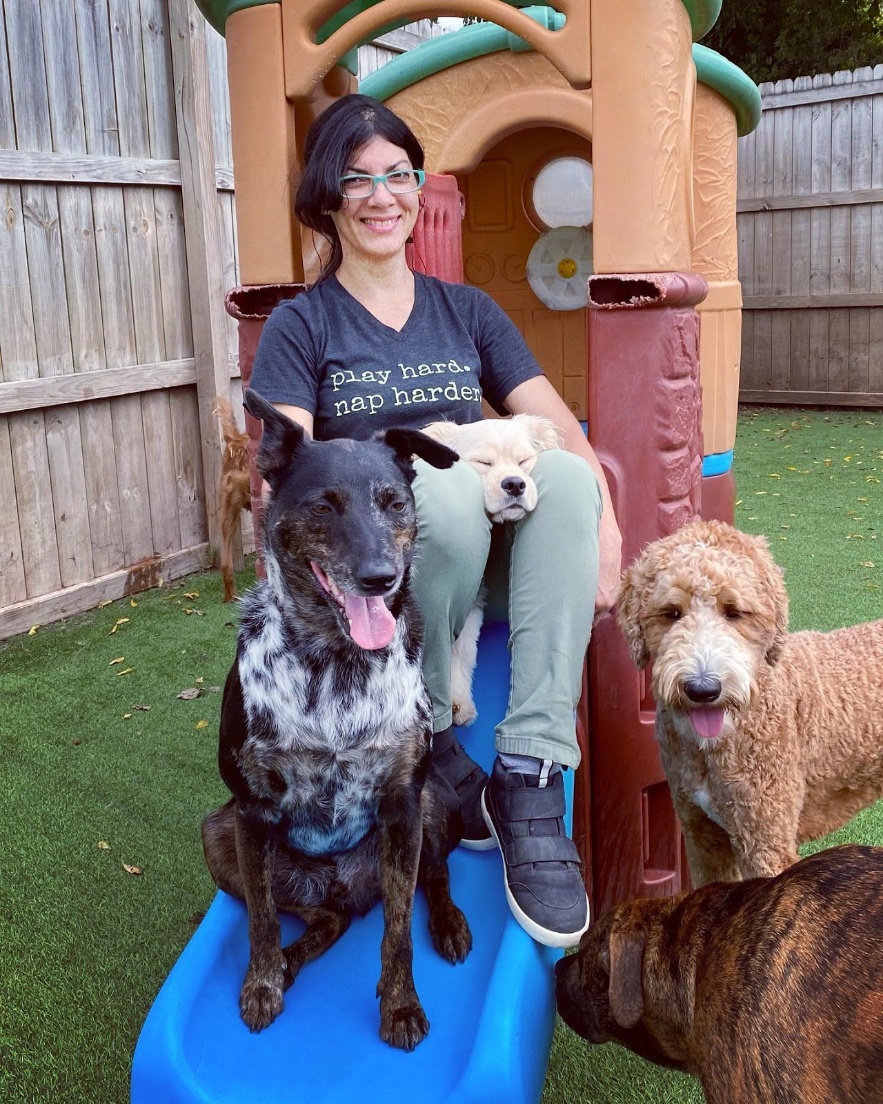 Hounds Lounge staff plays wih dogs at doggy daycare