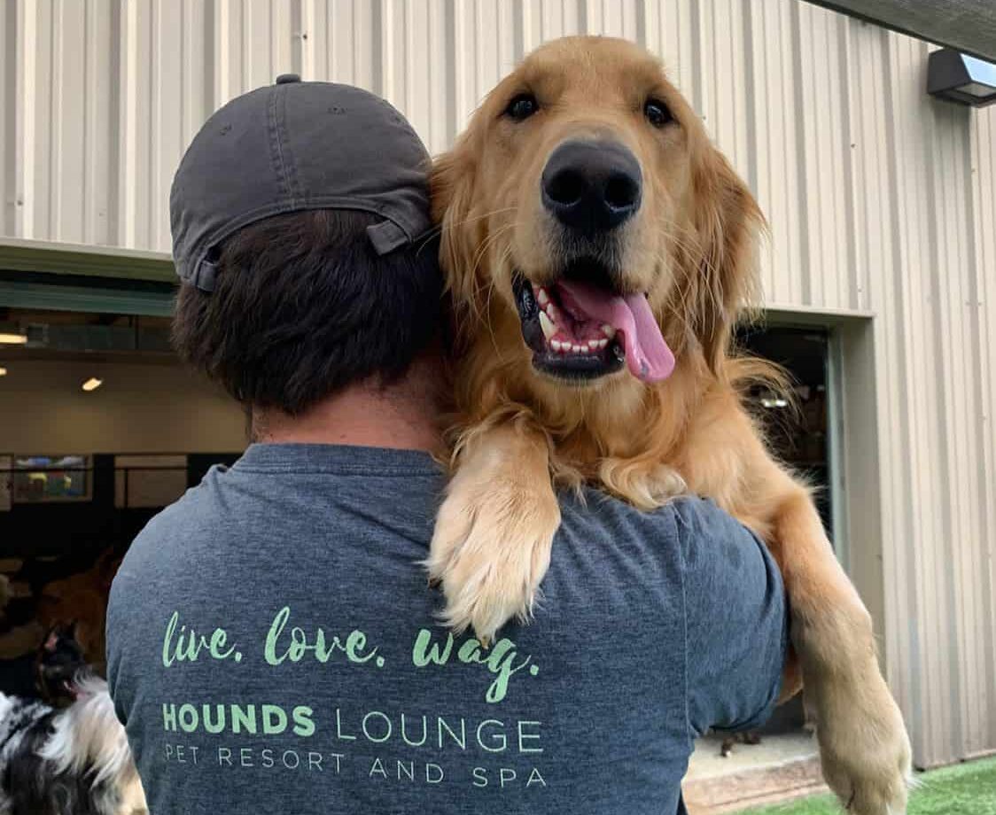 Golden being held Dog being held and comforted against separation anxiety