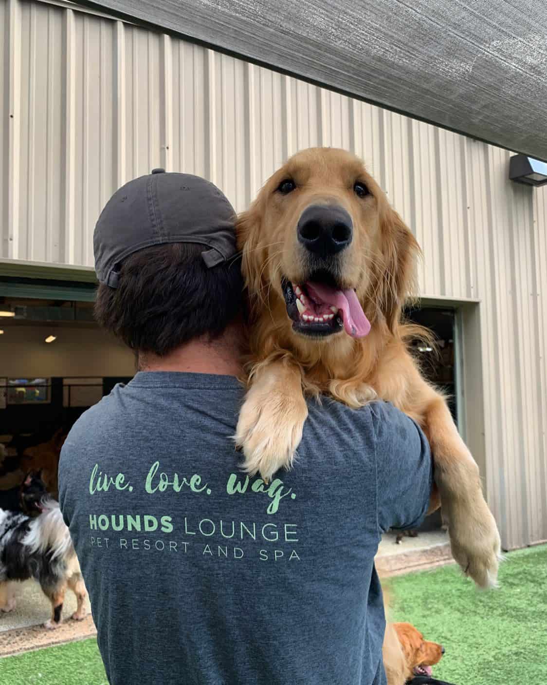 Dog being held and comforted against separation anxiety