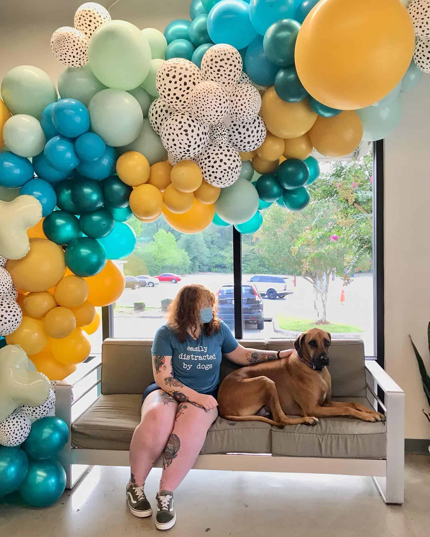 Poppy and Nico at doggie daycare Hounds Lounge