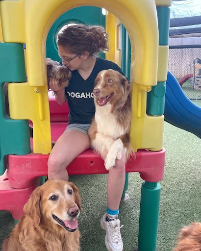 Employee Playing with Pooches
