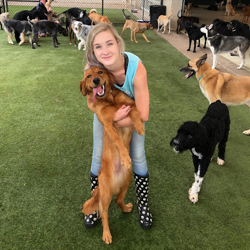 Happy dog and parent after finding a good vet