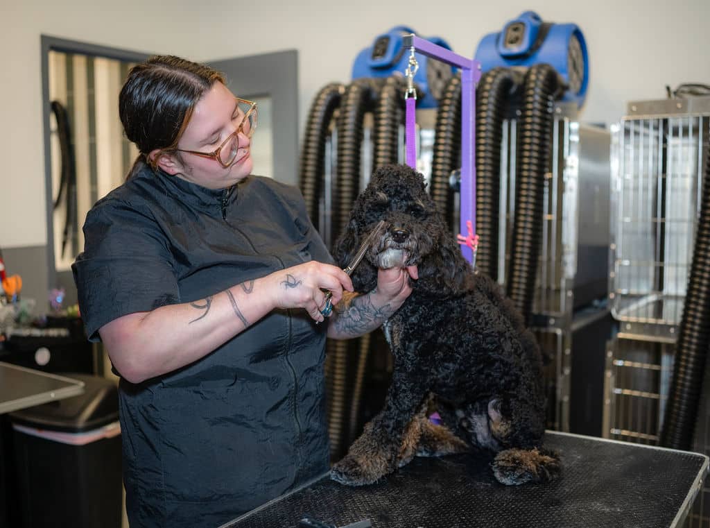 Hounds Lounge Grooming