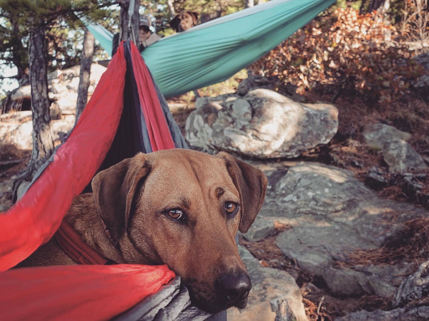Safety furrst while camping