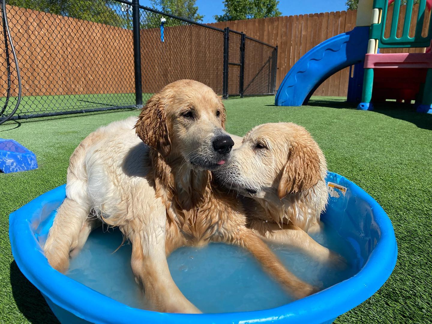 Safety first in the pool