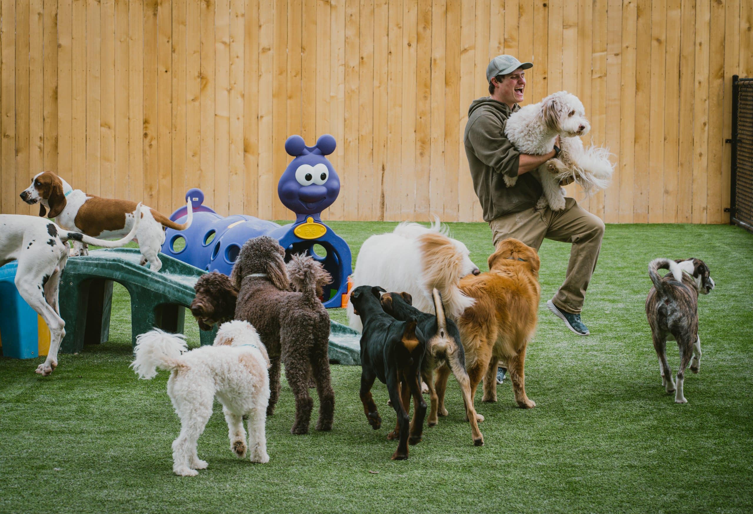 Hounds Lounge play Play yard at Hounds Lounge Bryant
