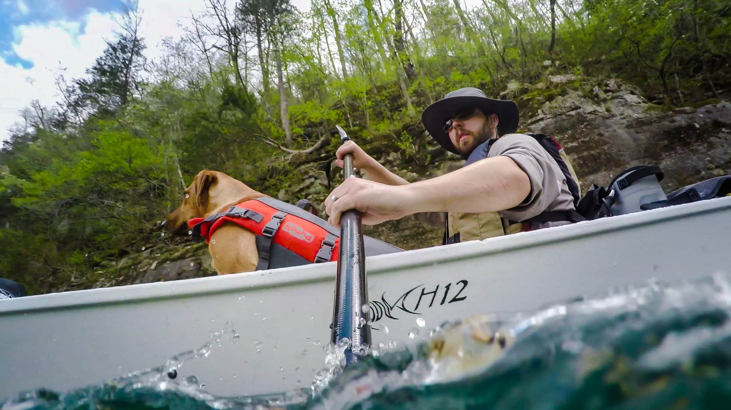 Dog and owner in canoe