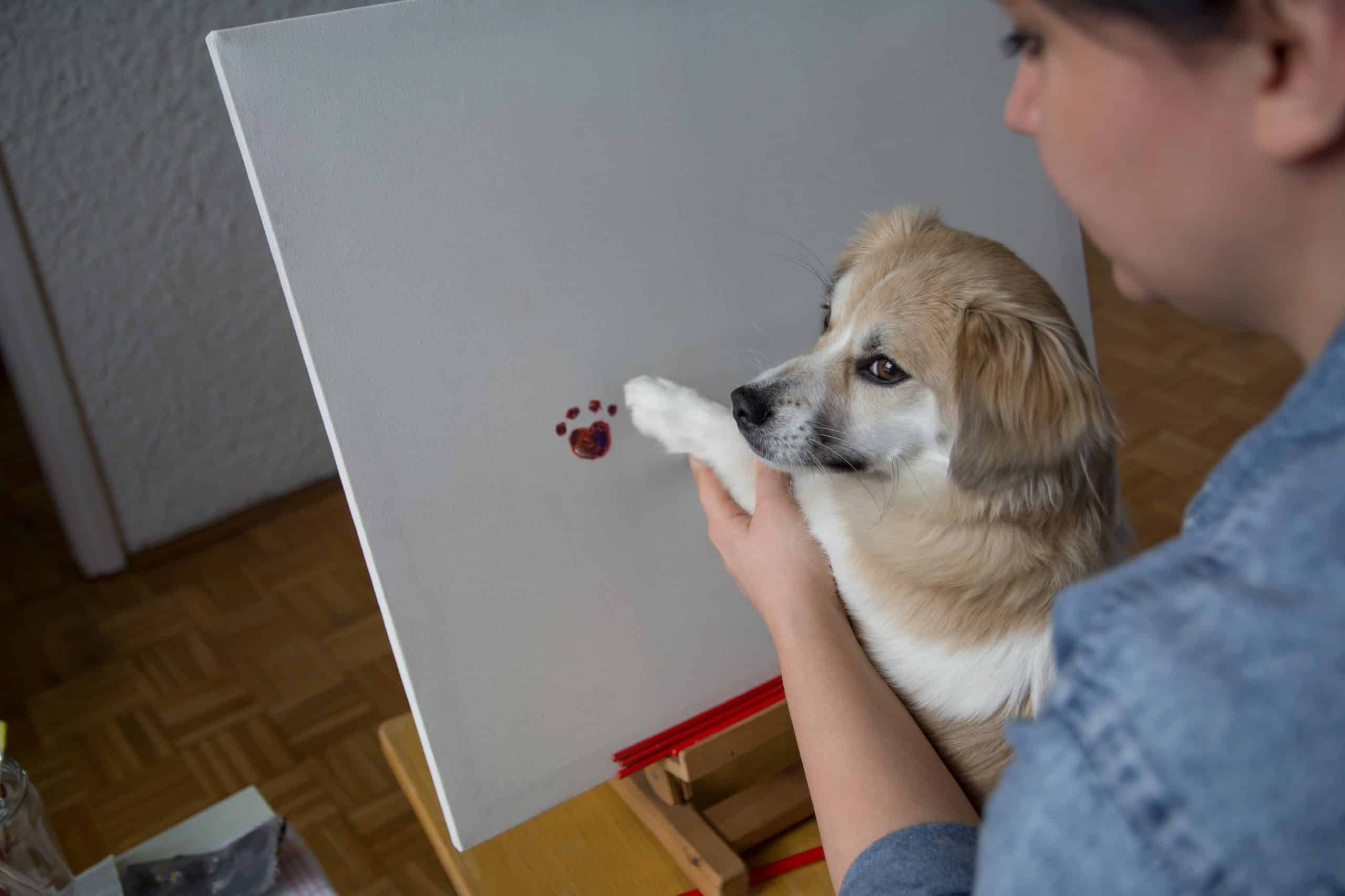 DIY crafting with your dog