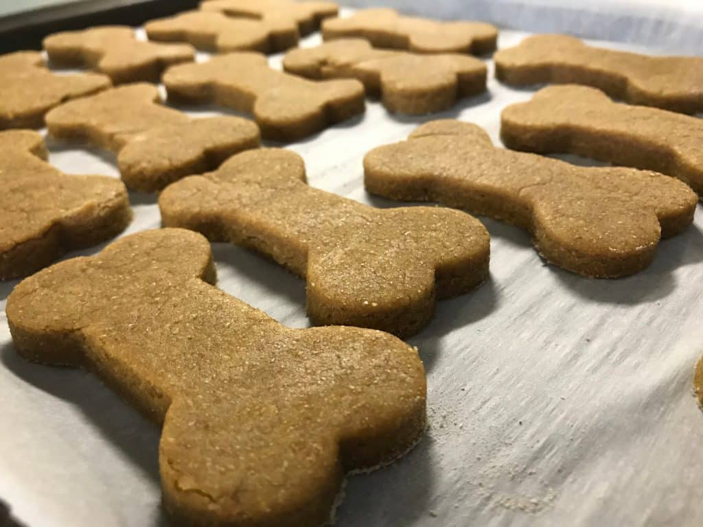 homemade dog treats