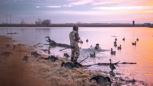 Hunter with dog hunting training