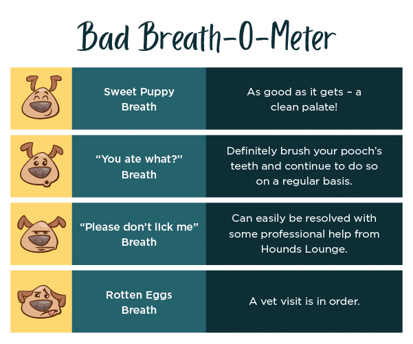 Bad-Breath-O-Meter