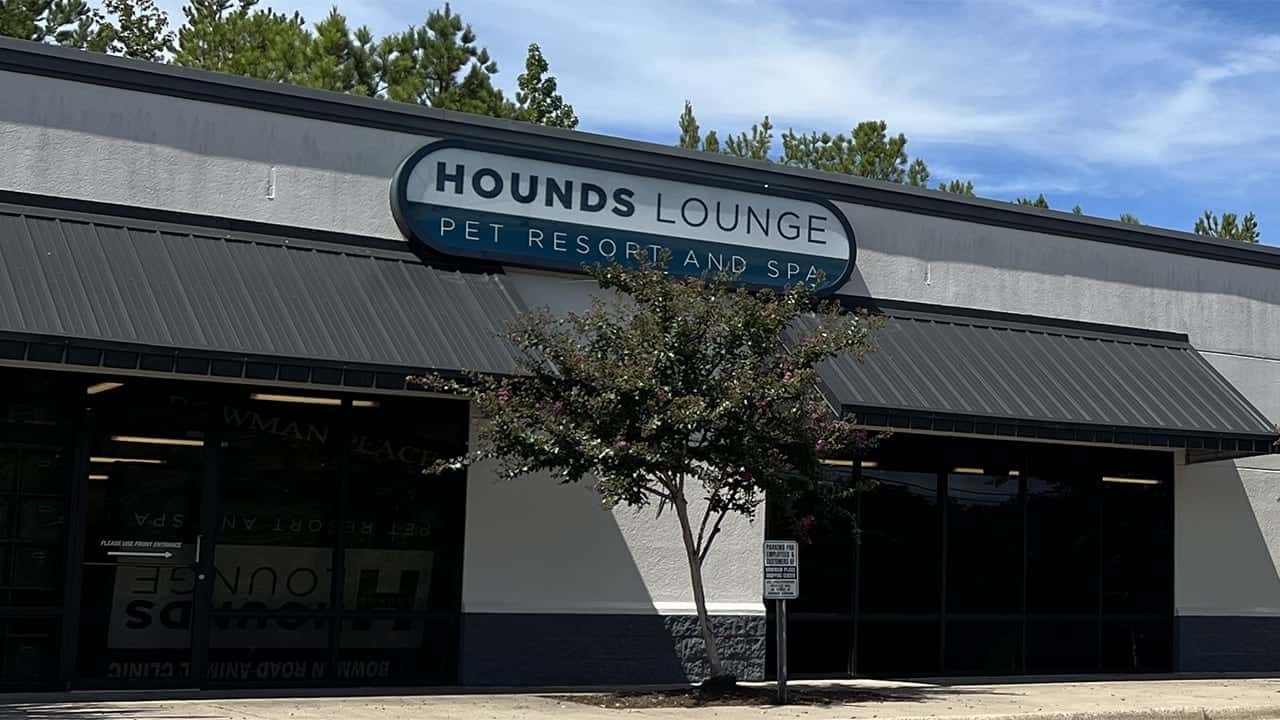 Dog Boarding Little Rock, AR, Facilities at Hounds Lounge