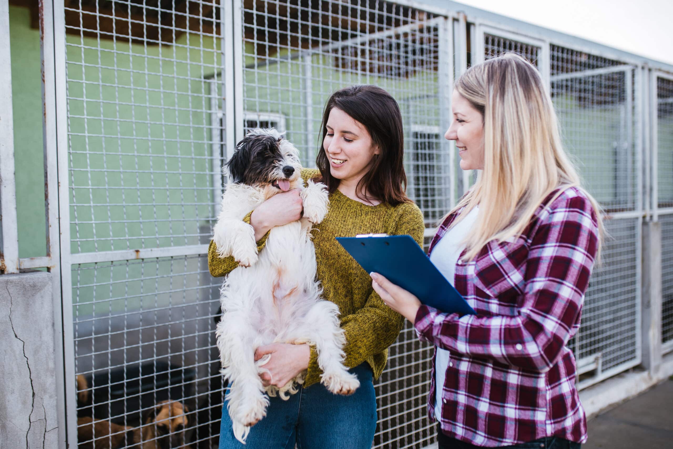 Young,Woman,With,Worker,Choosing,Which,Dog,To,Adopt,From