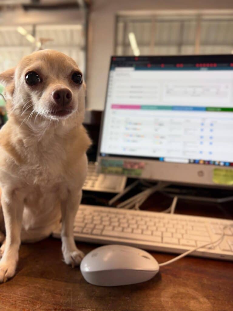 Contact | Marriottsville Animal Hospital, image size:768x1024