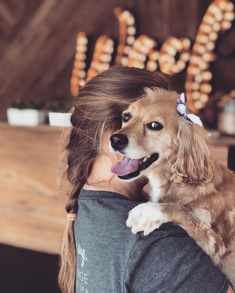 Puppy hugs at Hounds Lounge pet resort and spa