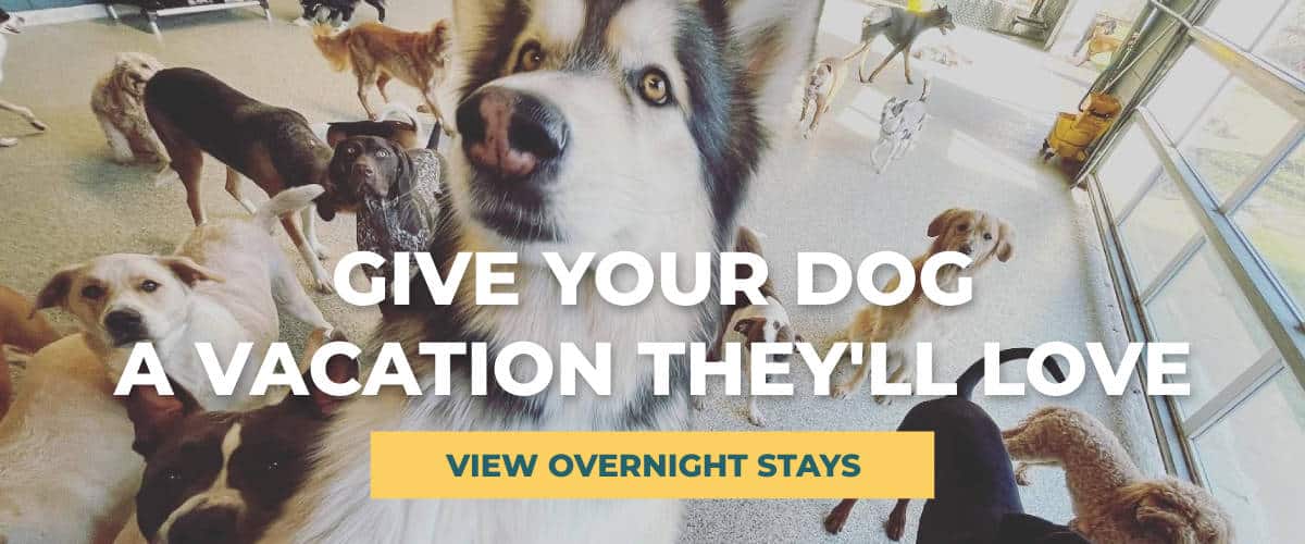 Overnight Stays Banner