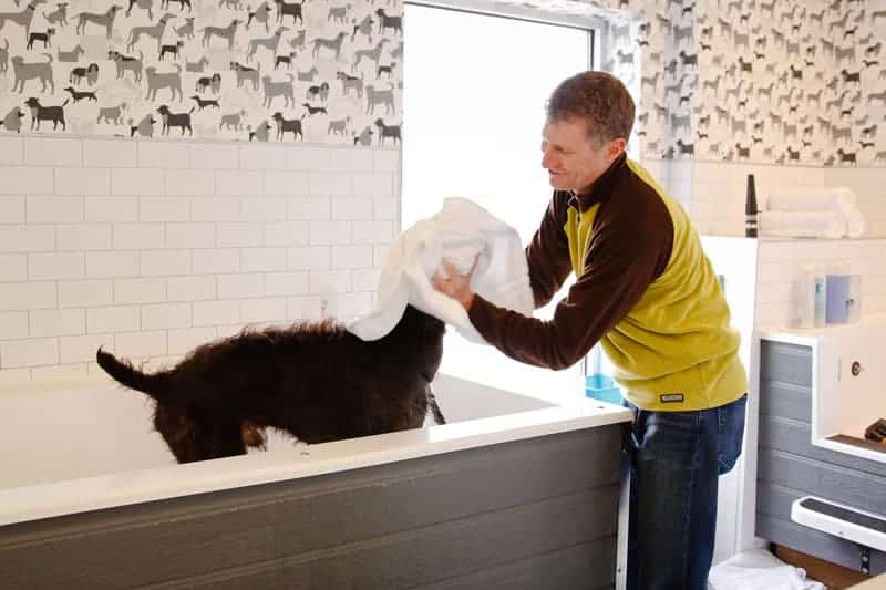 Hounds Lounge client washing his pup at a Hounds Lounge self wash dog station