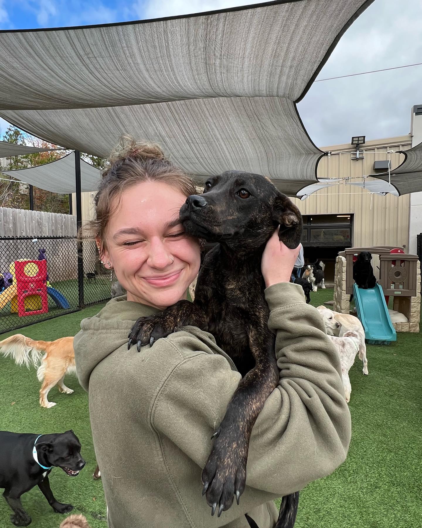 Dog loving staff Hounds Lounge follows Arkansas dog laws