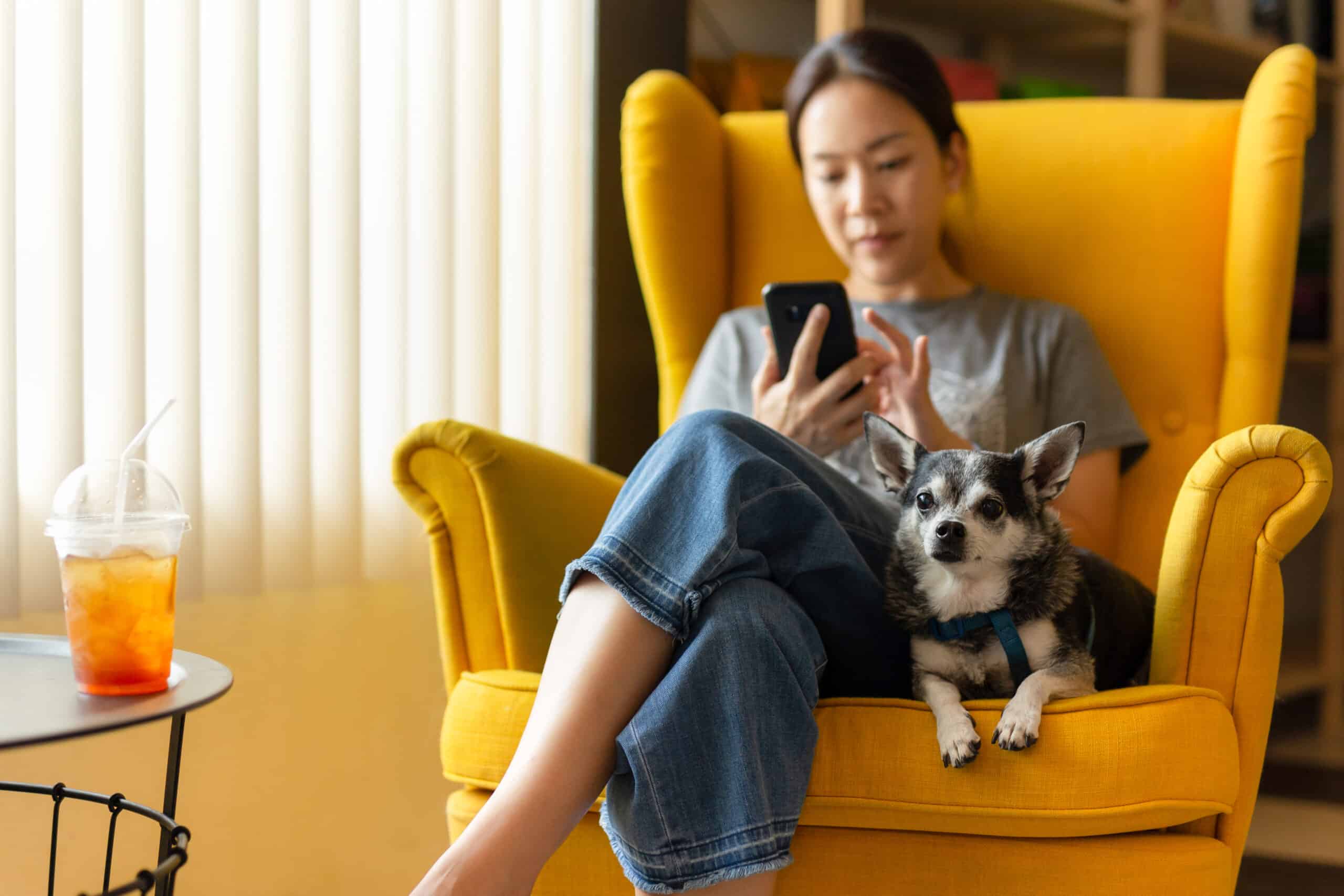 Woman,Sitting,On,Yellow,Couch,Using,Cell,Phone,With,Black