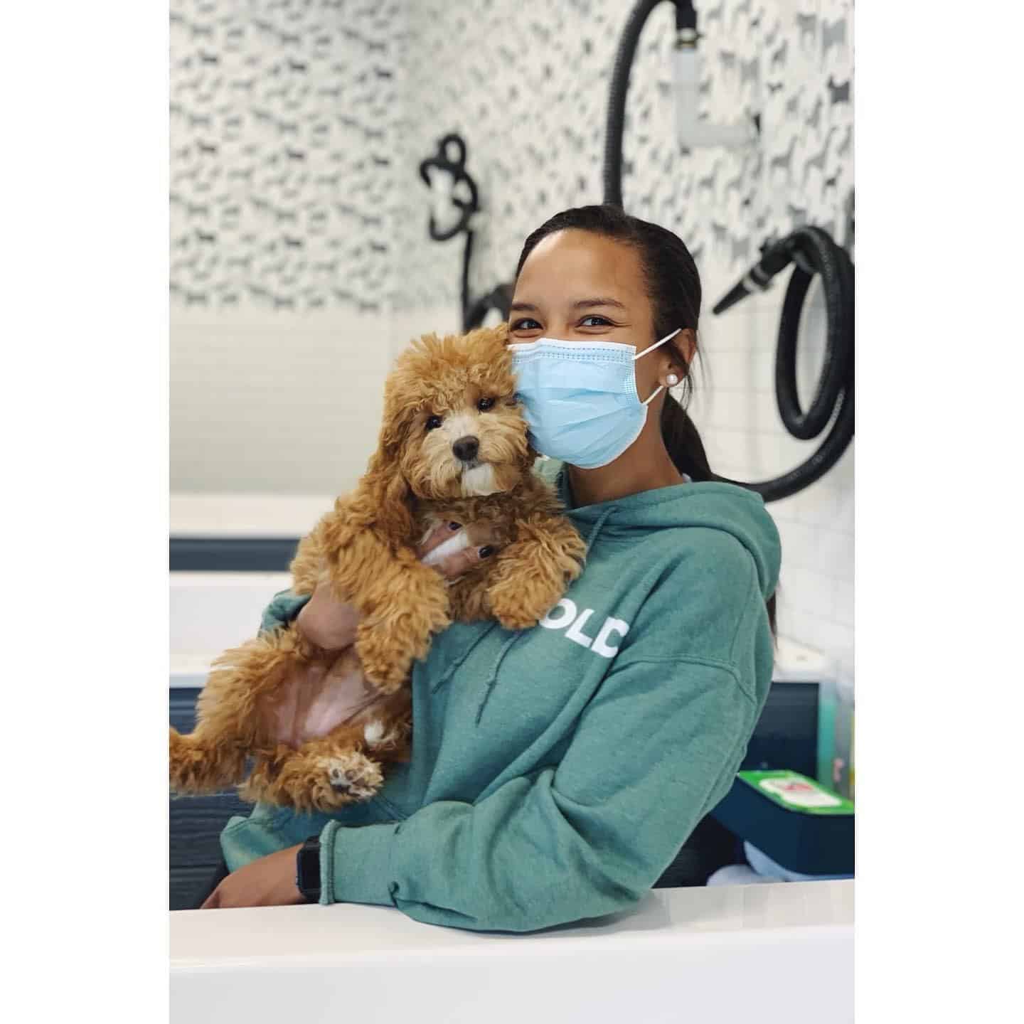 Doodle getting a bath