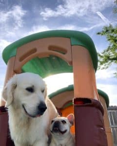 Dynamic duo dynamic duo