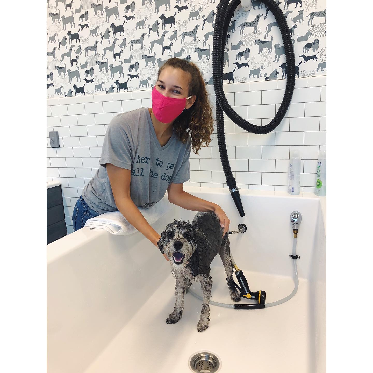 Fido getting a self serve dog wash station bath in Fayetteville