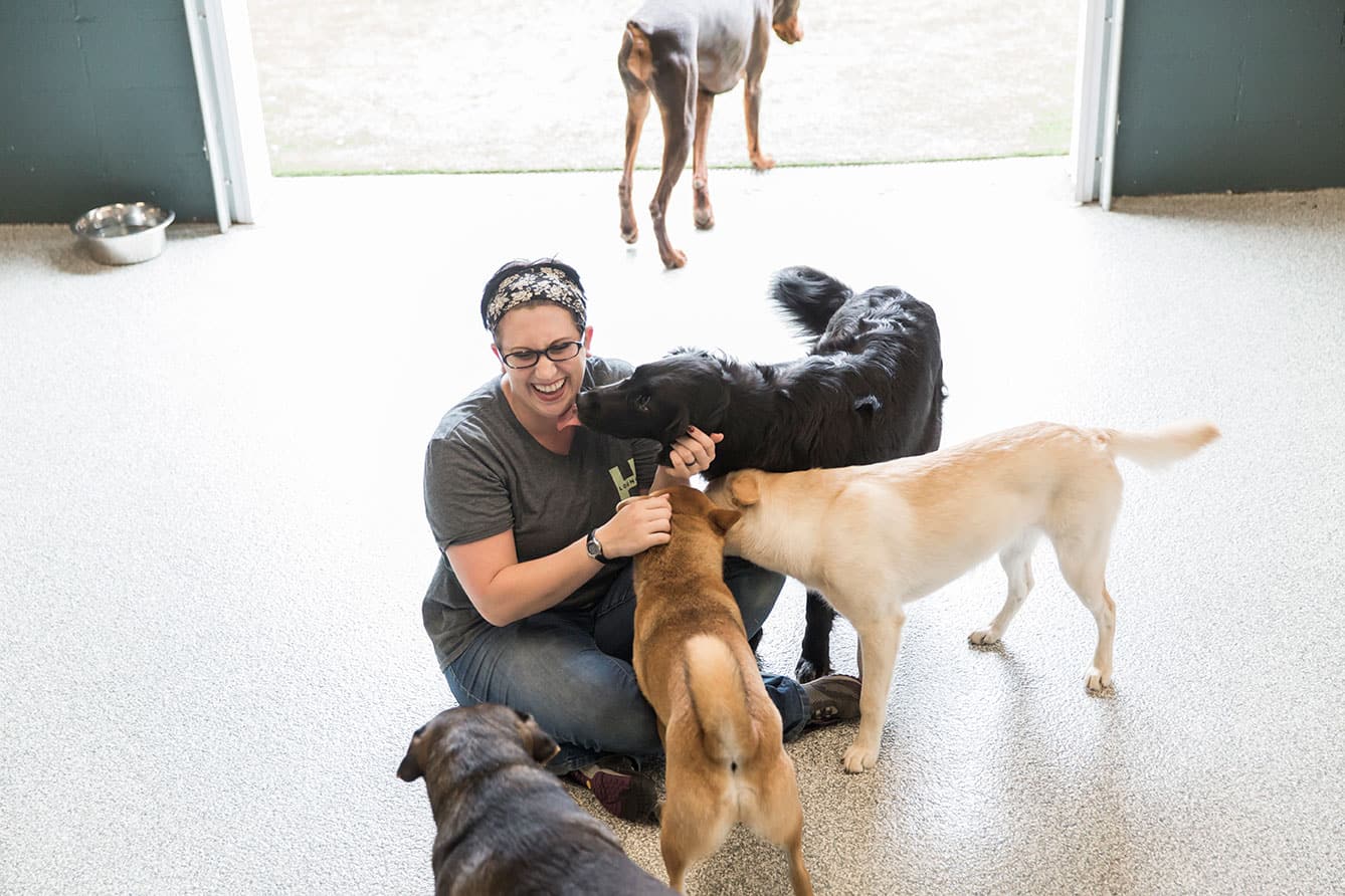 Photo of Hounds Lounge staff member sitting on floor with Dogs all around licking her face