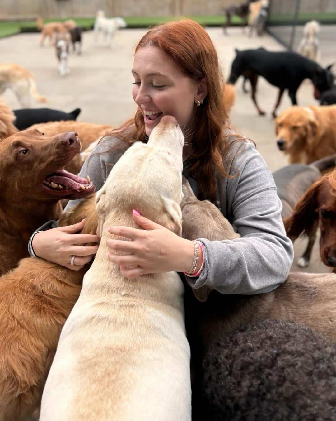 Hounds Lounge staff with dogs