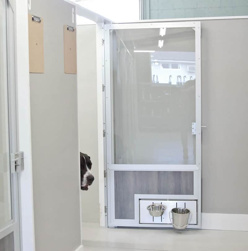 Photo of dog peering out of private dog boarding suite at Hounds Lounge