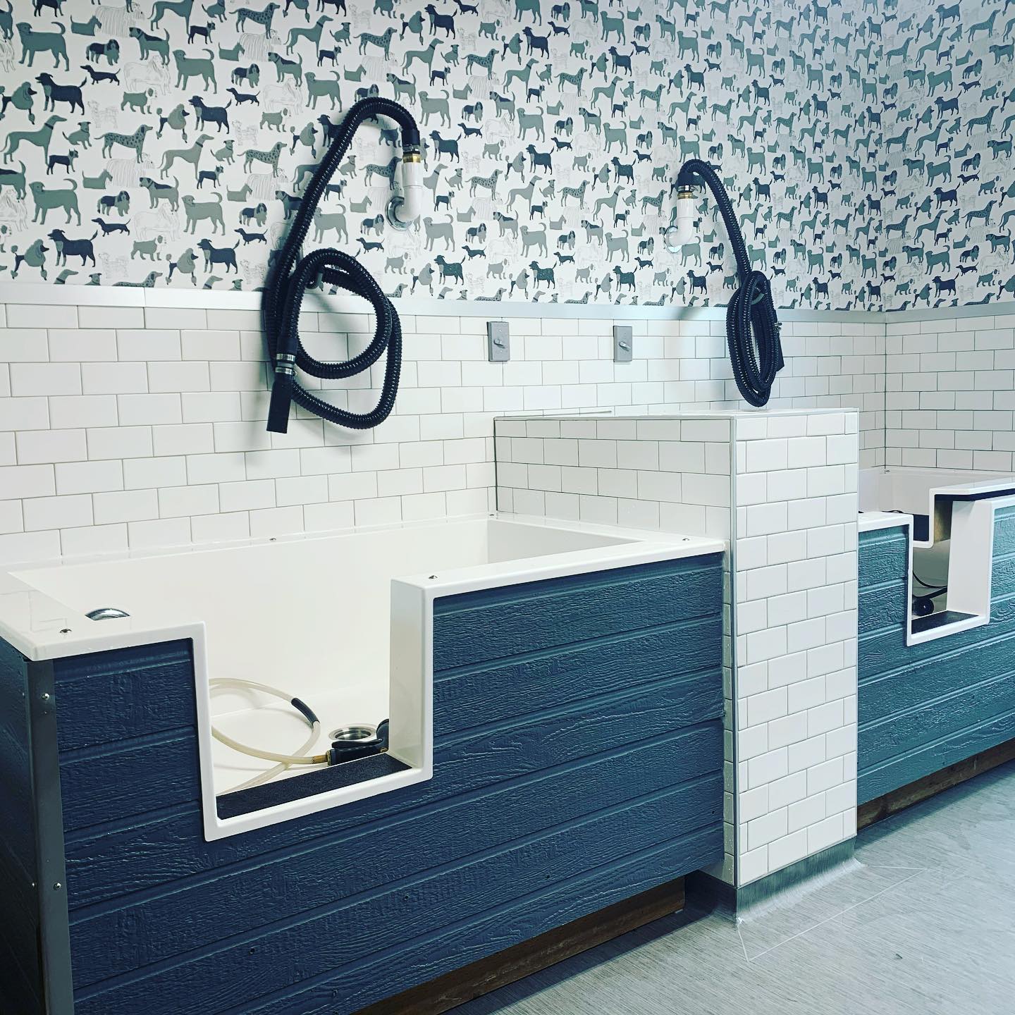 Self serve dog wash stations in Little Rock at Hounds Lounge Pet Resort and Spa