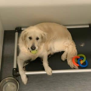 Toys and Water Toys and Water