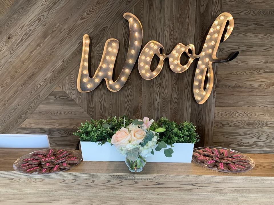 Treats and Flowers at luxury pet resort and spa