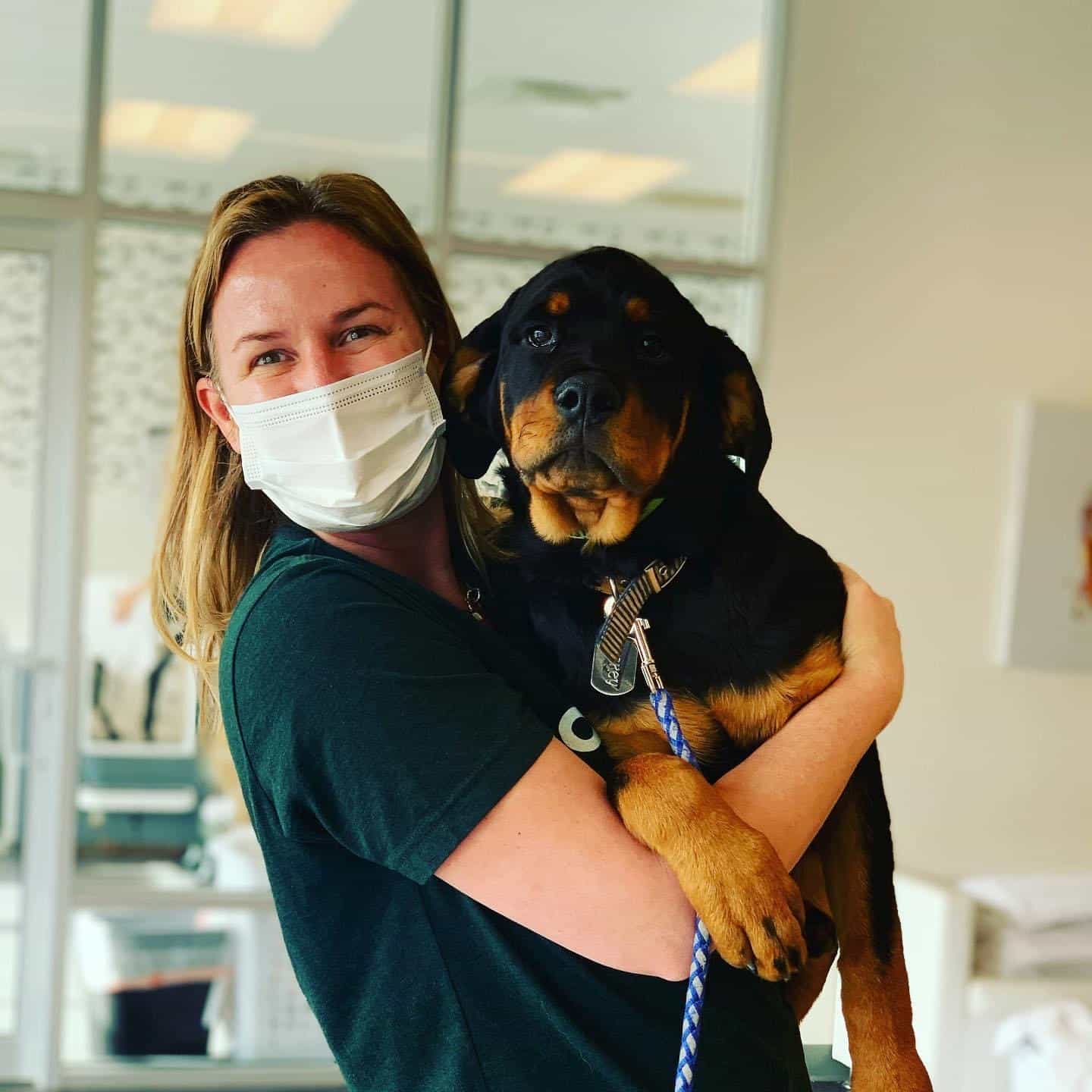 worker with dog at doggy daycare